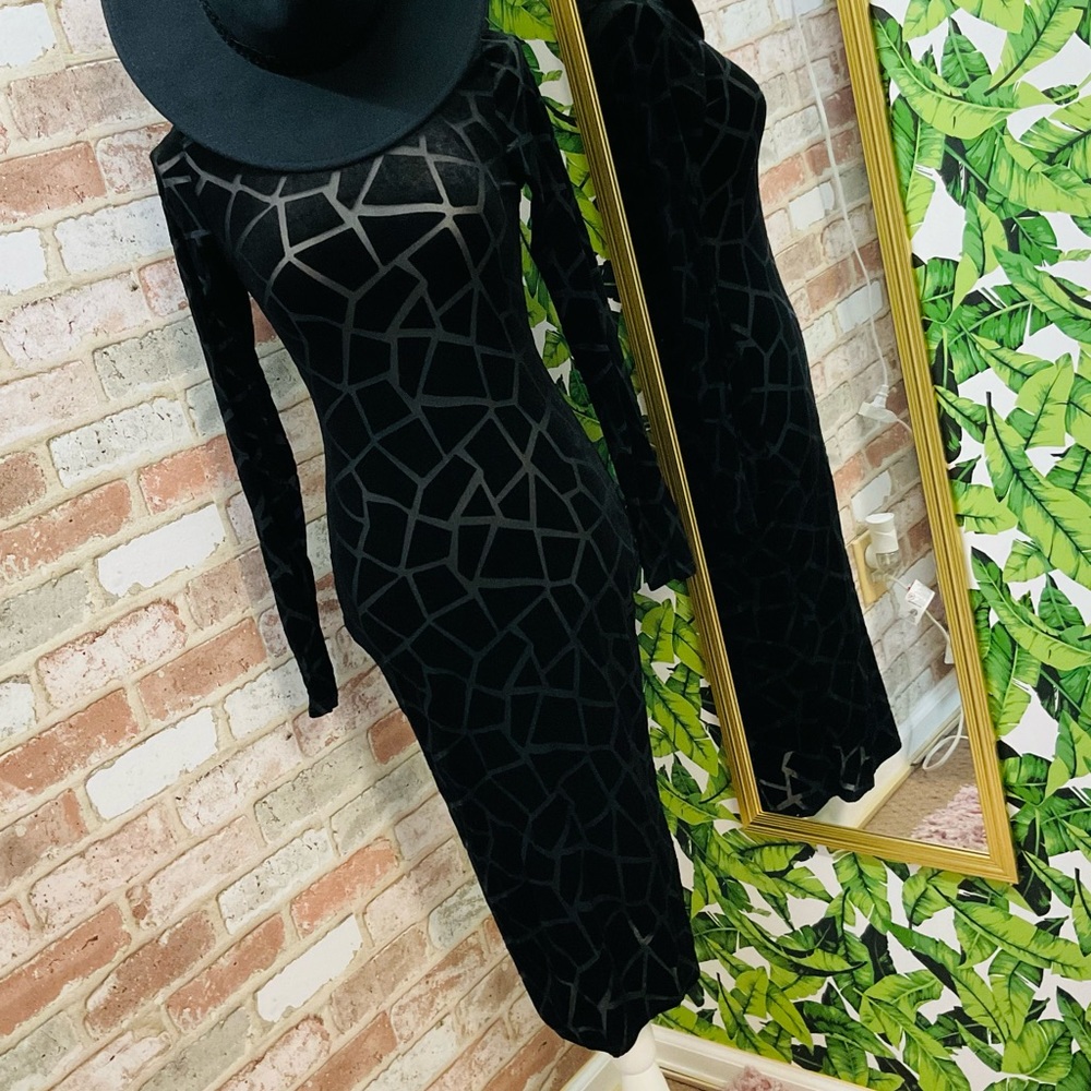 Long Sleeve Semi Mesh Black Midi Dress